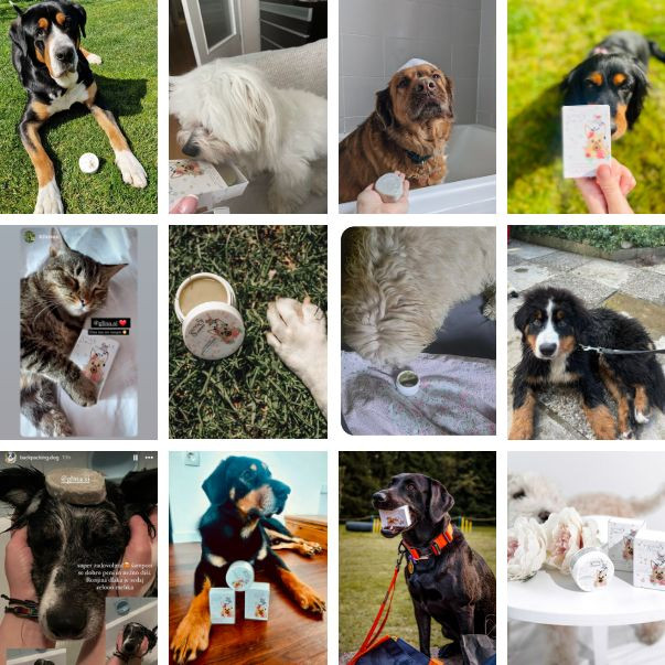 paket za životinje: Šampon + Sapun + Mast